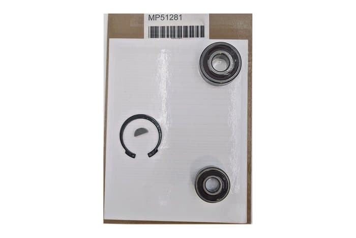 MP Pumps Repair Kit for Chemflo 1-4 Pumps (Bearing) | MP51281