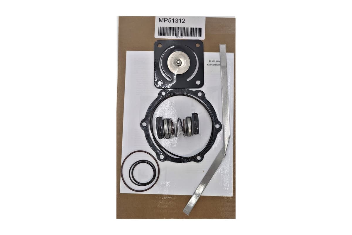 MP Pumps Repair Kit FM 5/8 1" DBL T-31 SIL for Flomax 5 and 8 | MP51312
